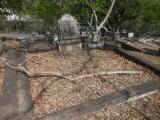 image of grave number 835085